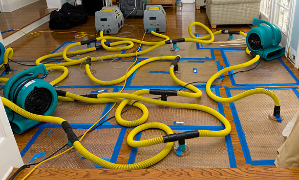 Professional Structural Drying And Dehumidification technician working in South Acworth, NH